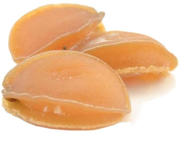Dried Gold Abalone Seafood